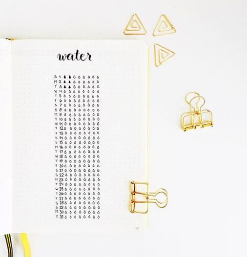 bullet journal water tracker