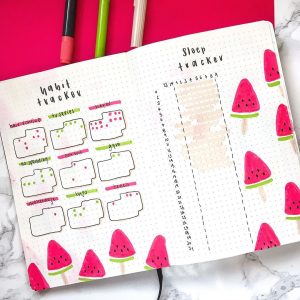 How To Plan Watermelon Bullet Journal Theme?