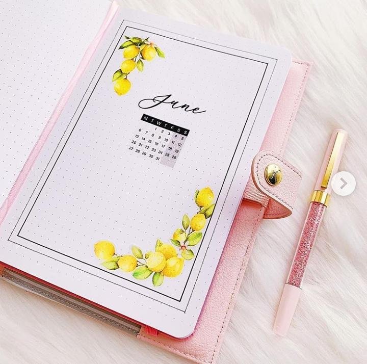 month cover lemon bullet journal