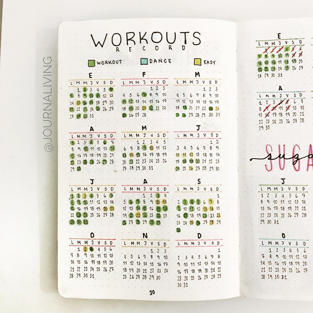 25+ Fitness Bullet Journal Ideas To Keep You Motivated