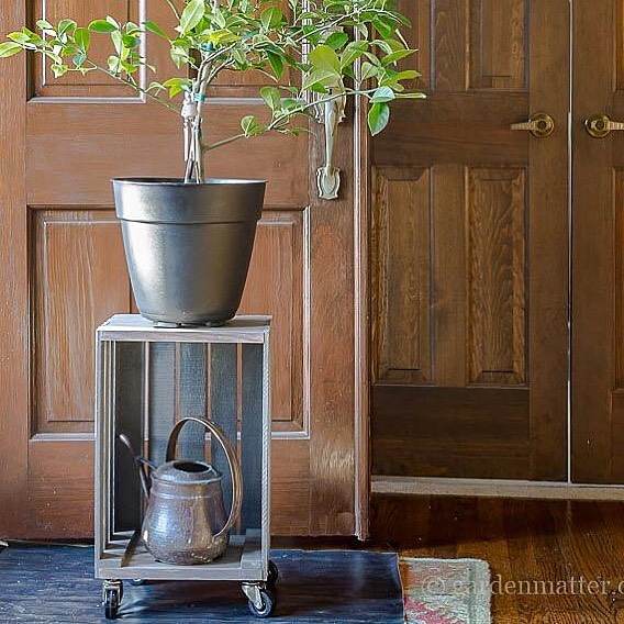 DIY Plant Stand 1