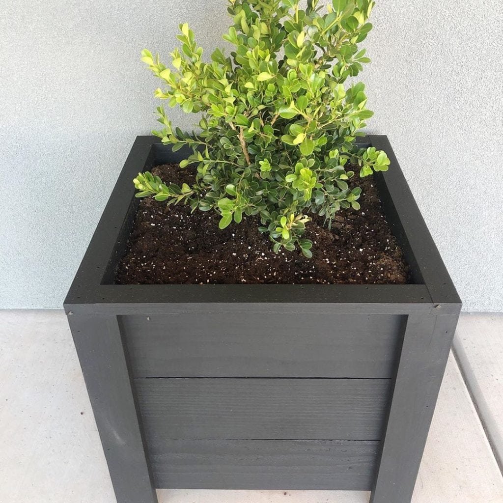 DIY Planter Box