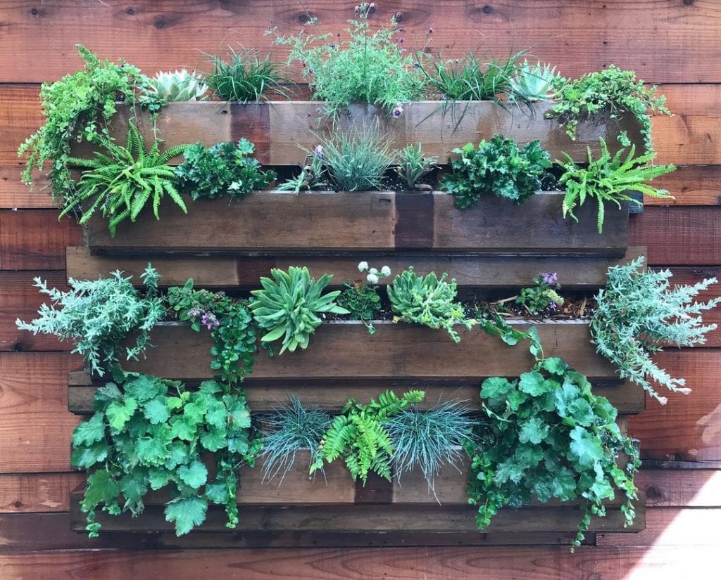 Pallet Planter 11