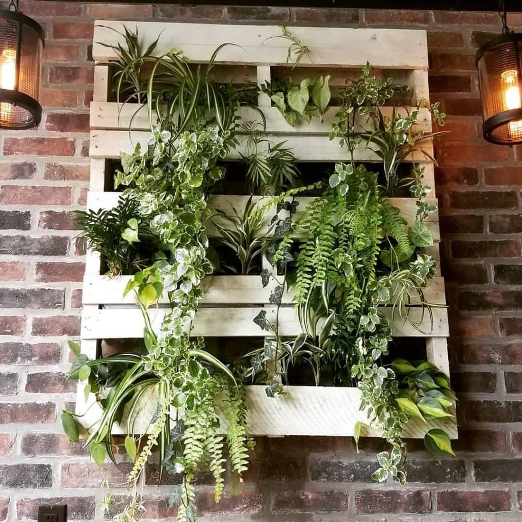 Pallet Planter 30