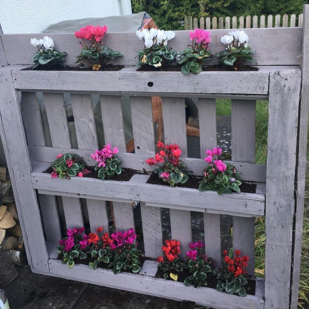 Pallet Planter 7