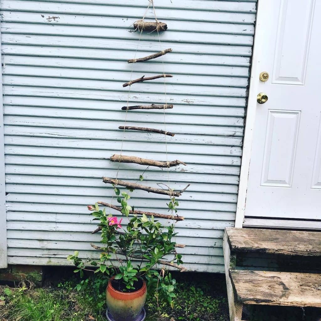 DIY Trellis 10