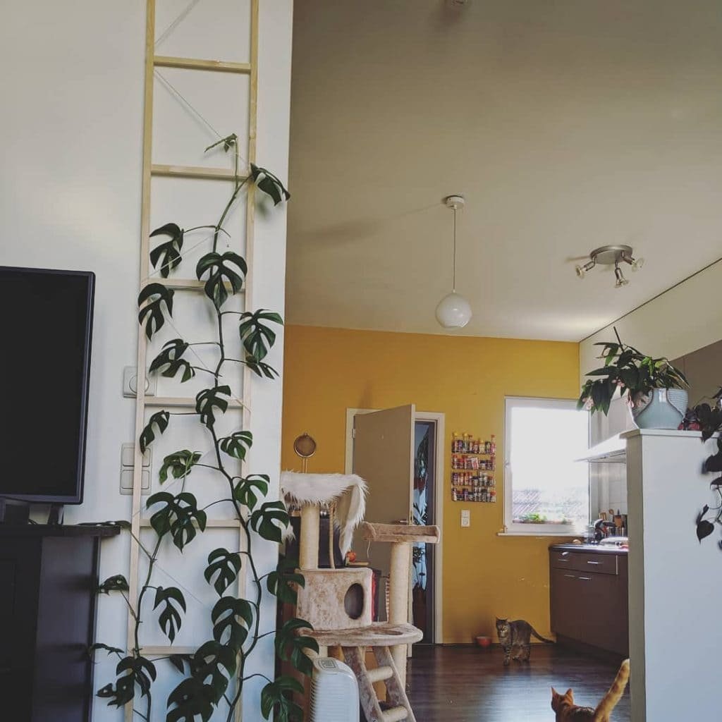 DIY Trellis 13