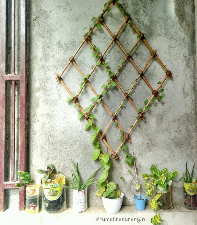 DIY Trellis 15