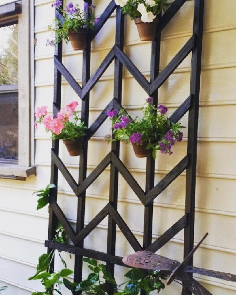 DIY Trellis 16