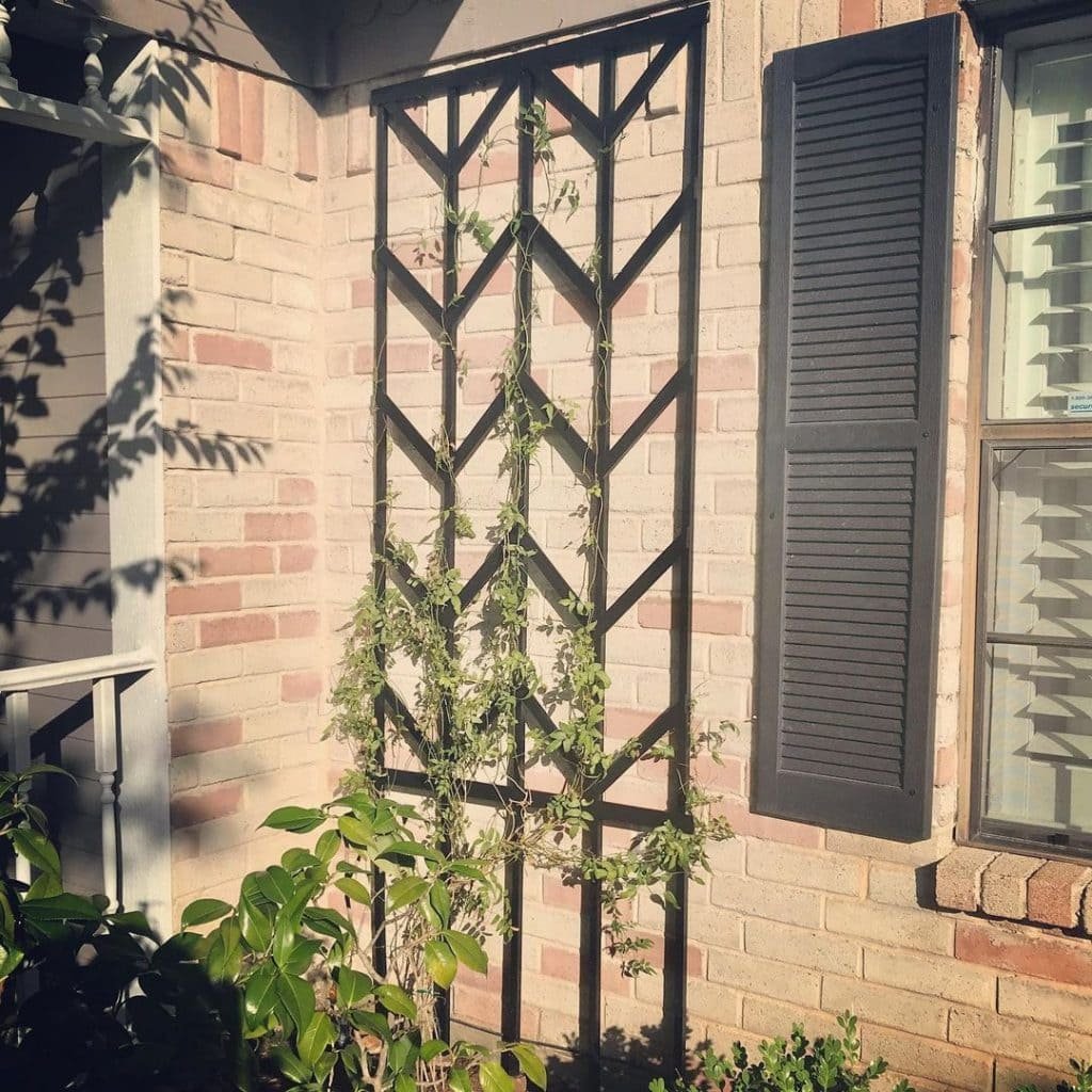 DIY Trellis 19