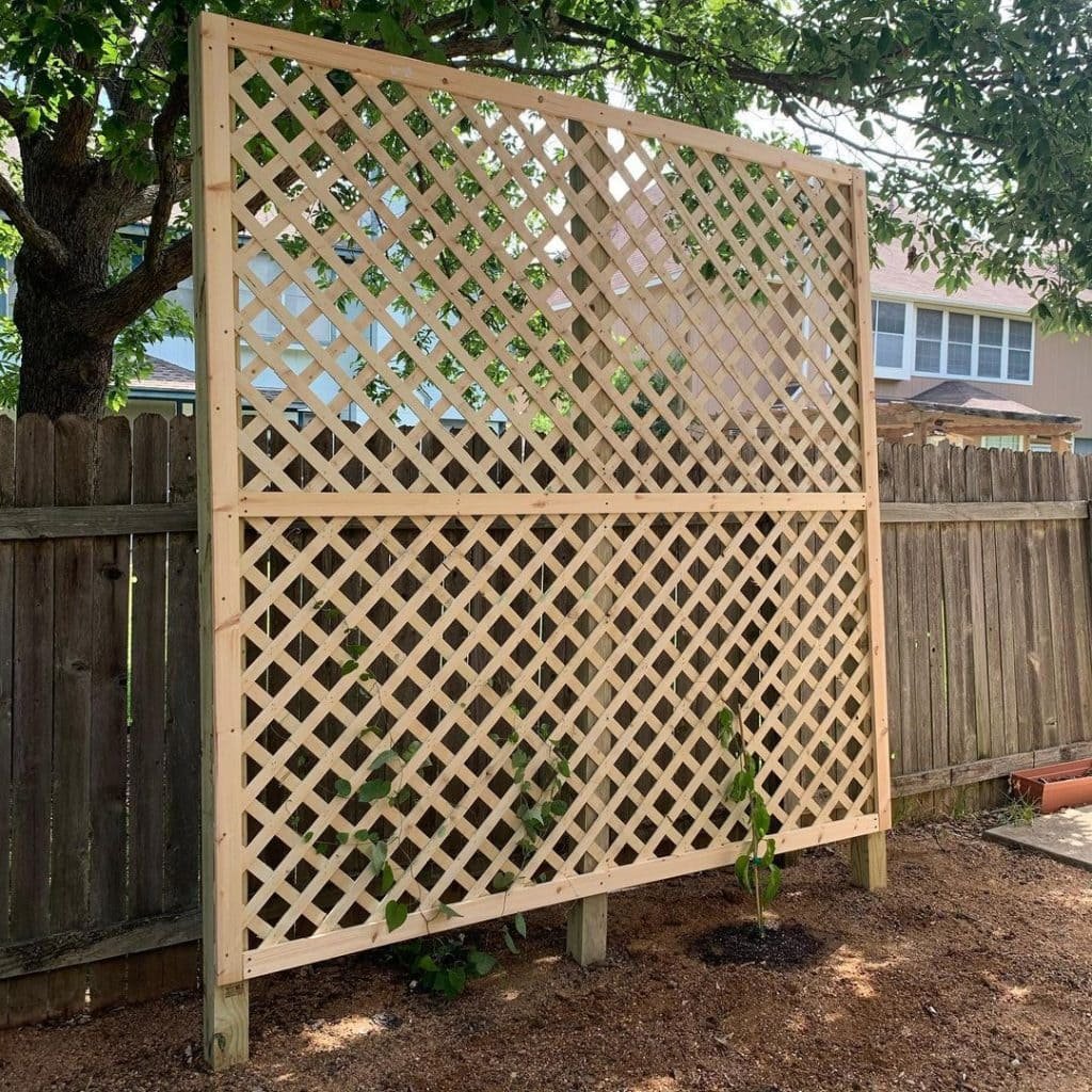 DIY Trellis 2