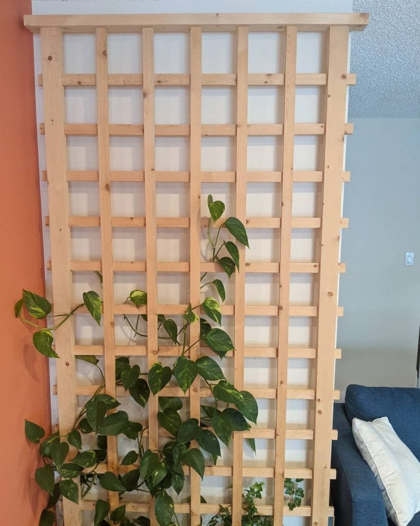 DIY Trellis 25