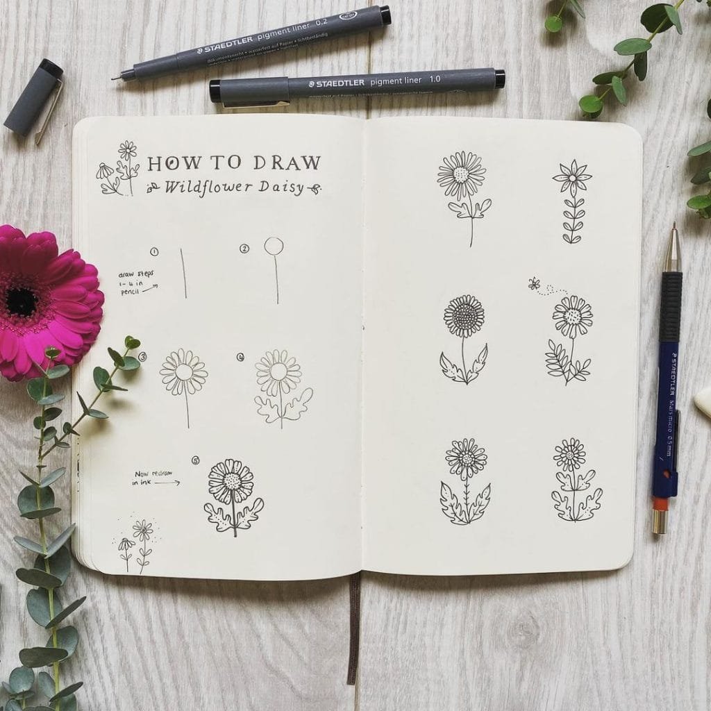 Daisy Notebook: Colorful Flower Doodles Notebook for Daisy Lovers