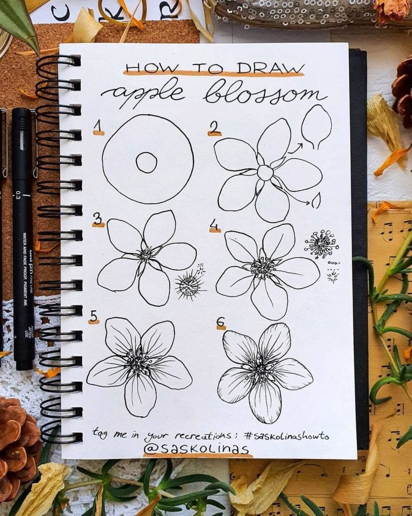 Flower Doodles Of Different Types Of Flowers 2