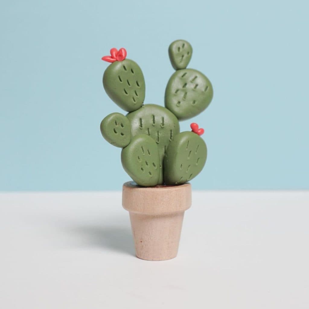 Miniature Plant