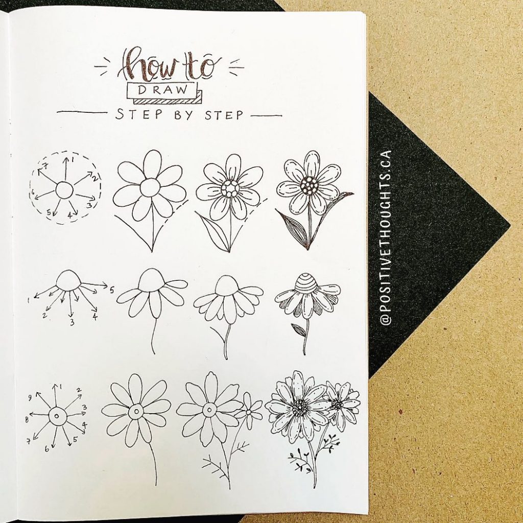 Daisy Notebook: Colorful Flower Doodles Notebook for Daisy Lovers