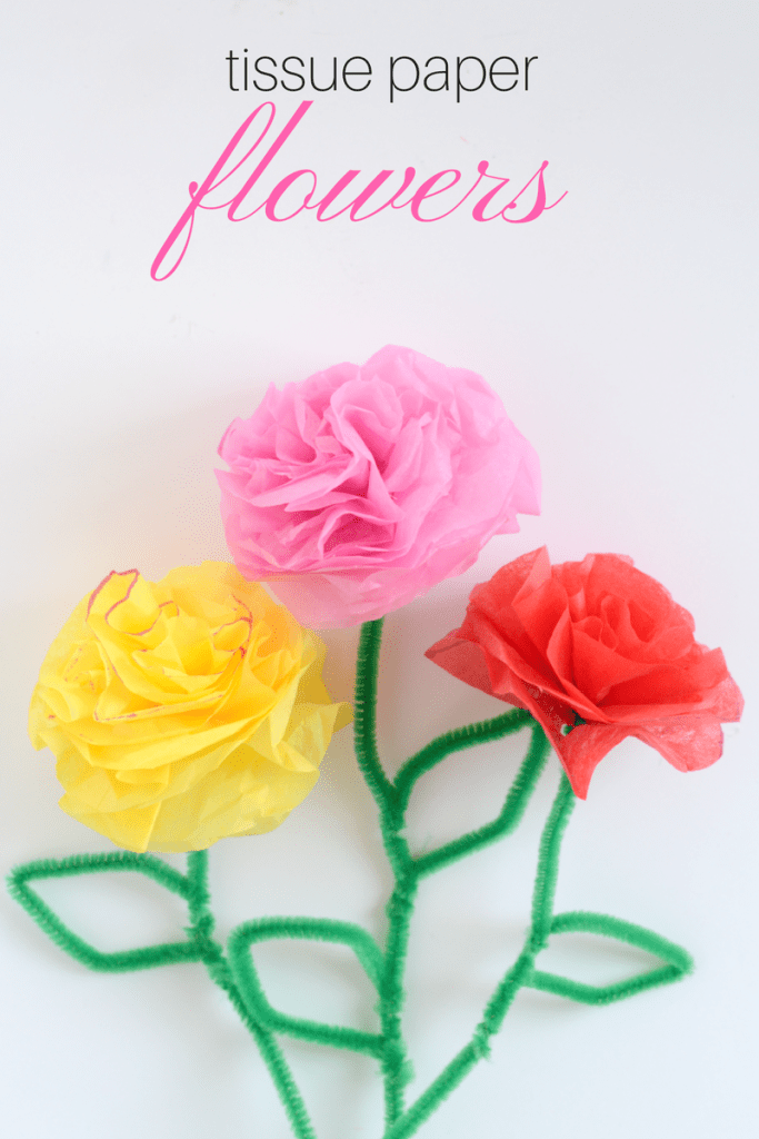 Tissue-paper-flowers craft