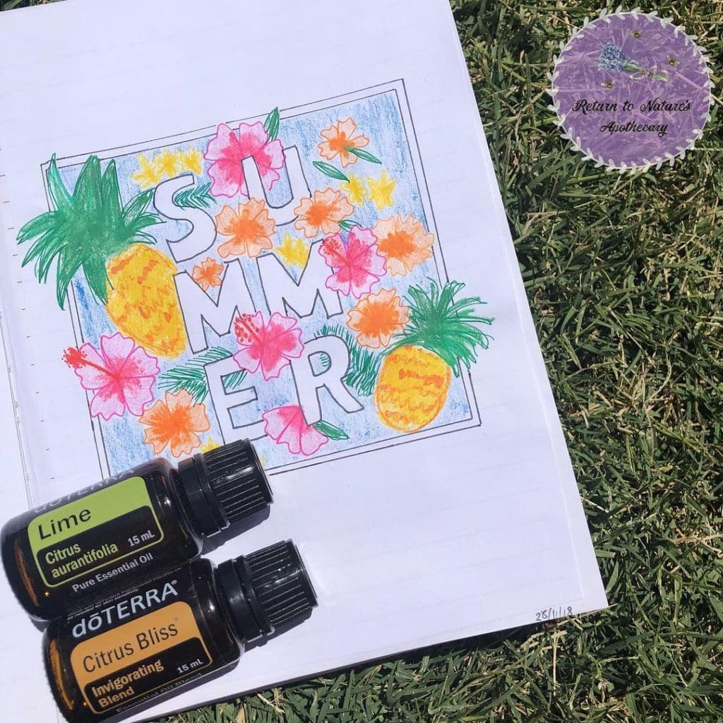 summer bullet journal