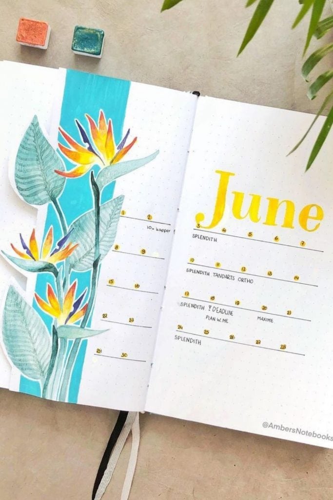 june weekly spread