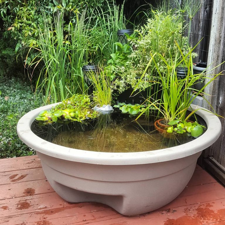 15+ DIY Pond Ideas for your Backyard