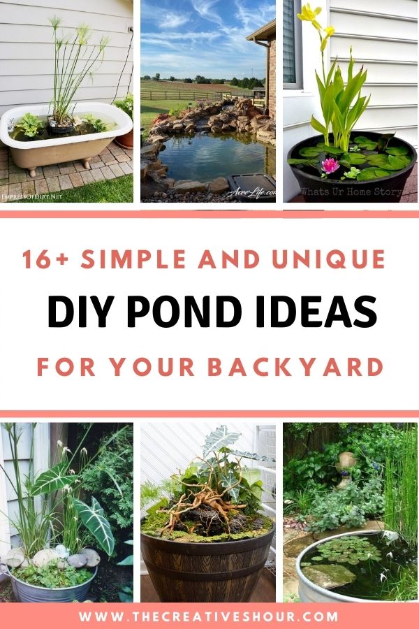 15+ DIY Pond Ideas for your Backyard