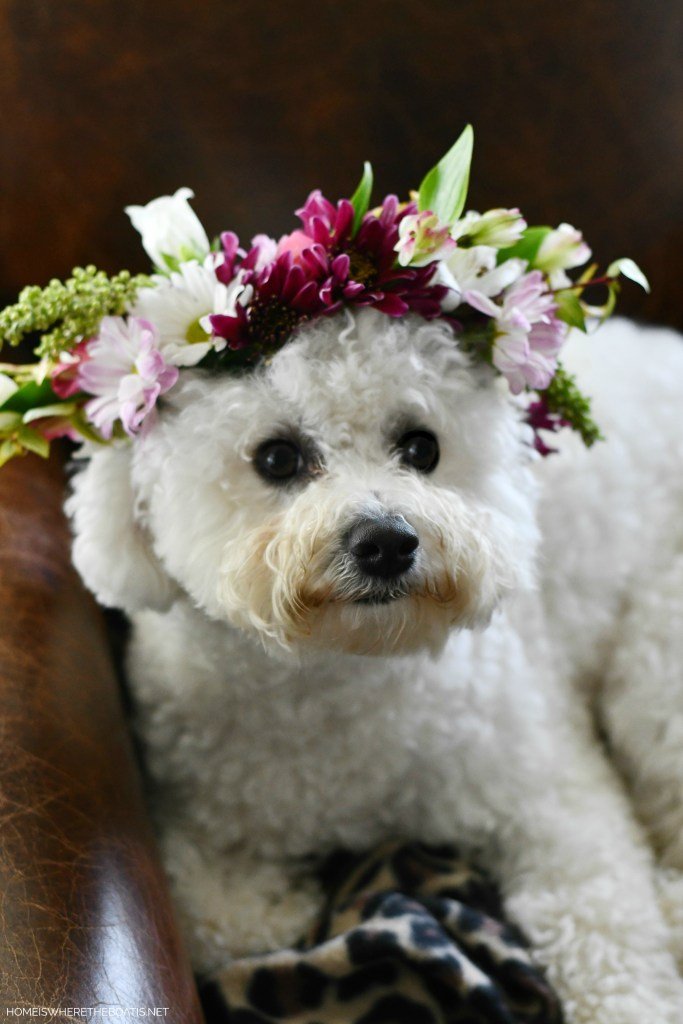 Floral Crown