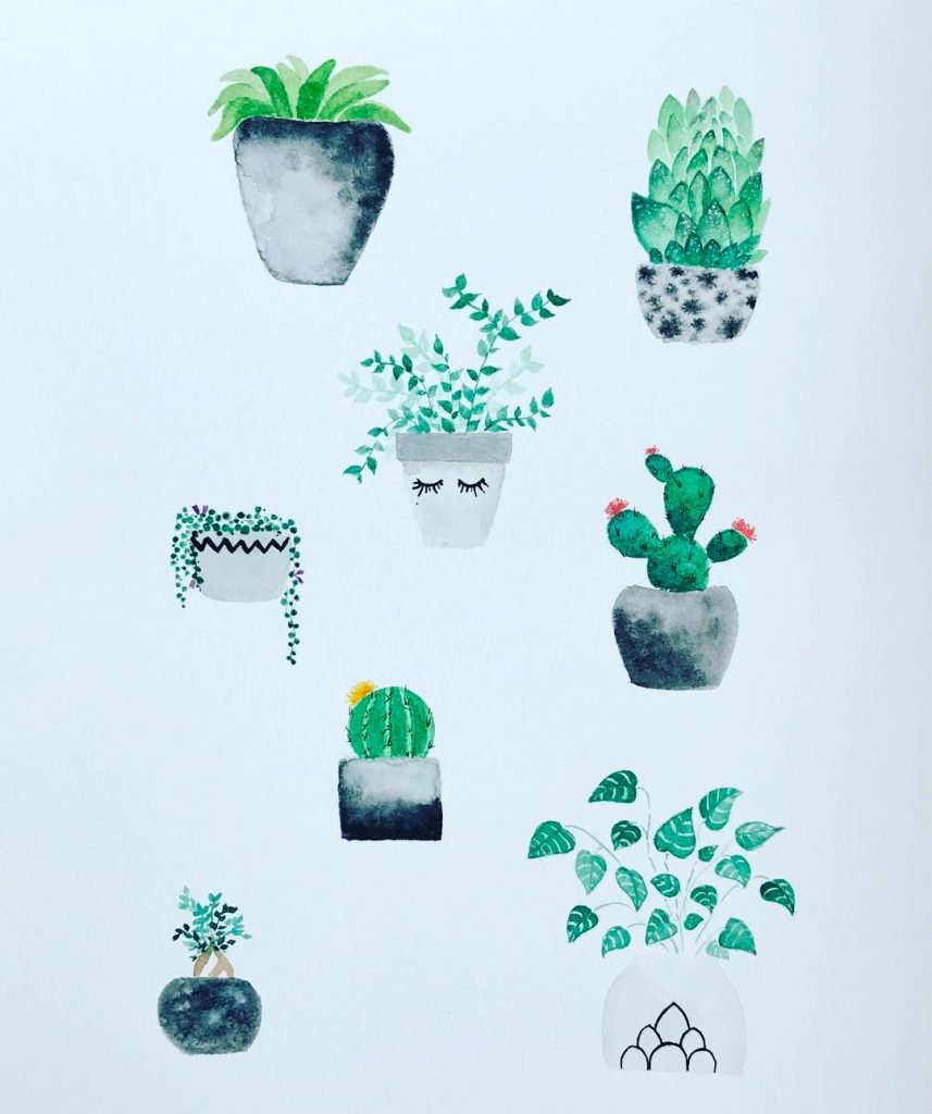 potted succulent drawing