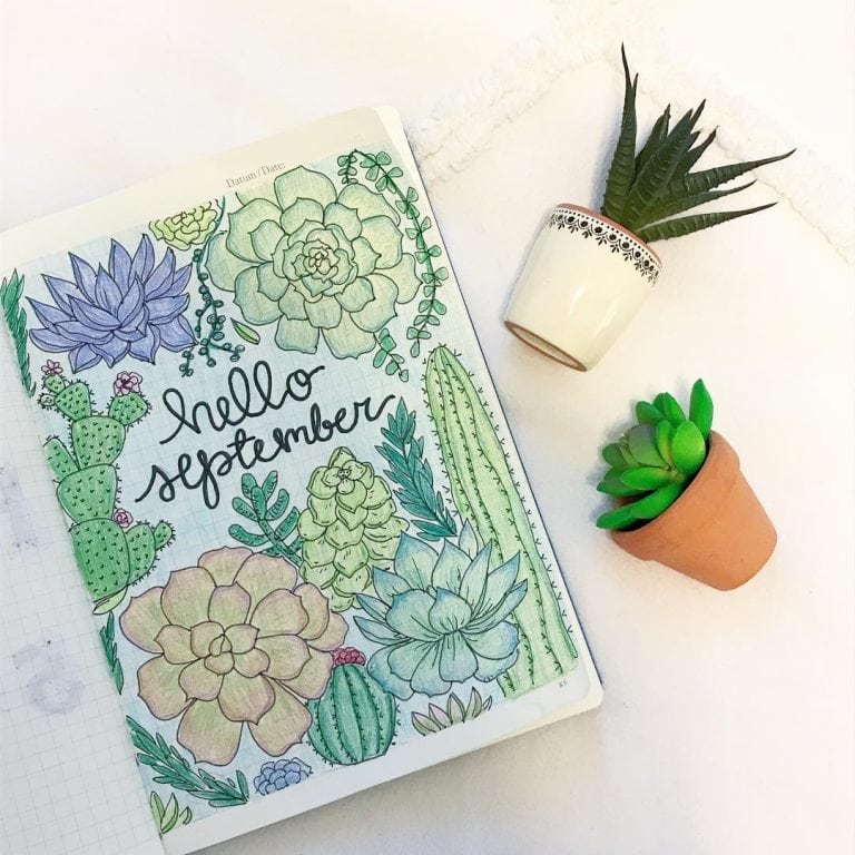 20  Easy Succulent Drawings Cactus Doodles To Draw