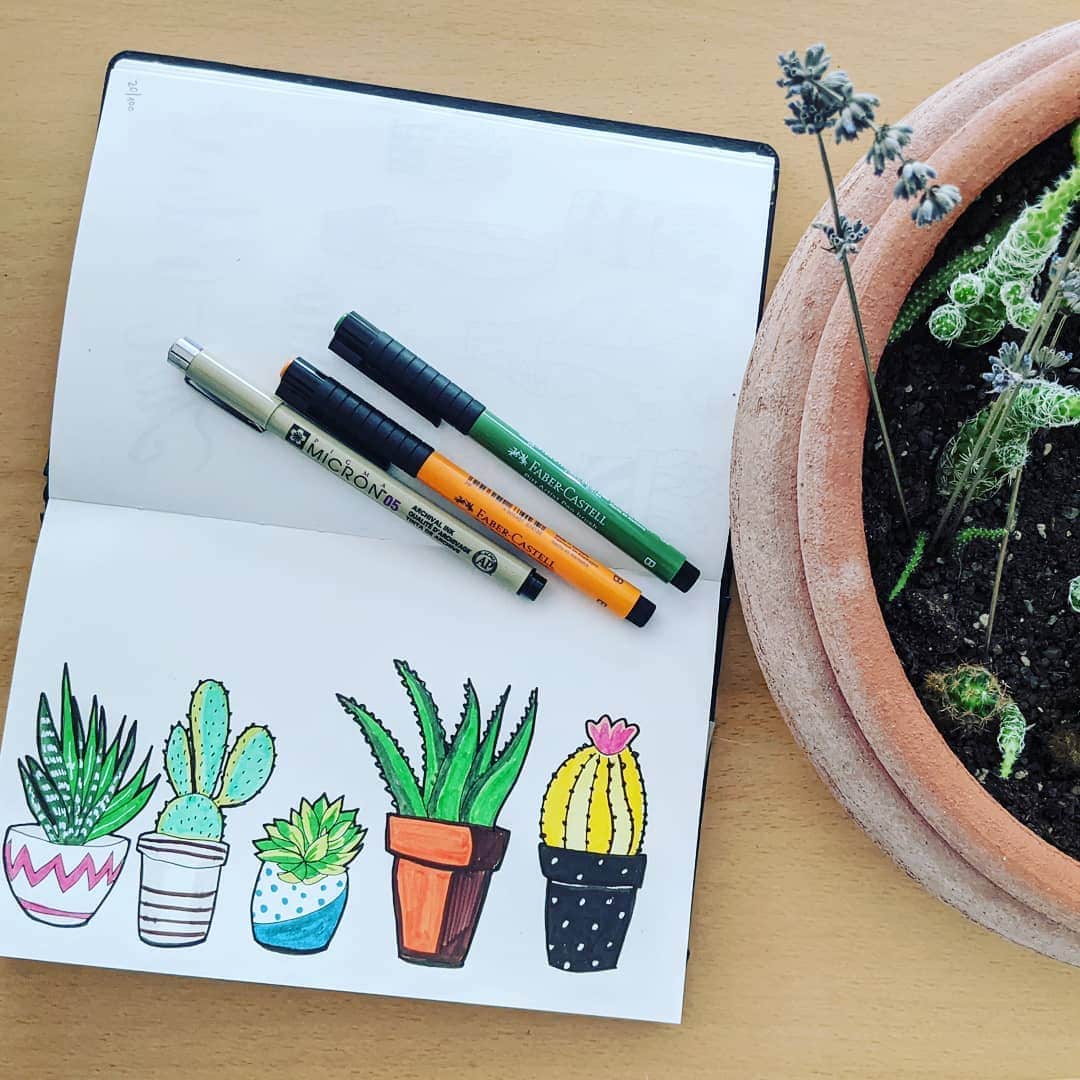 20  Easy Succulent Drawings Cactus Doodles To Draw