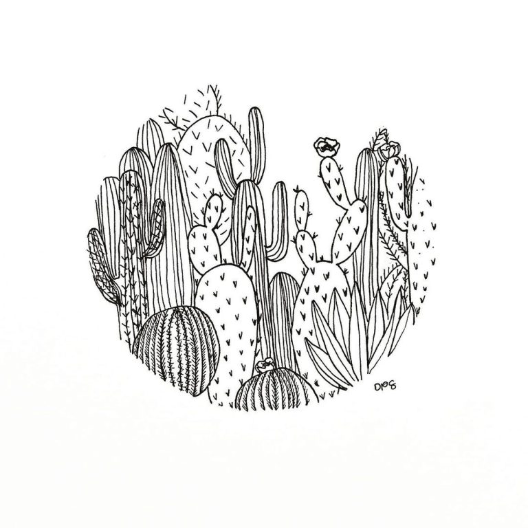 20  Easy Succulent Drawings Cactus Doodles To Draw