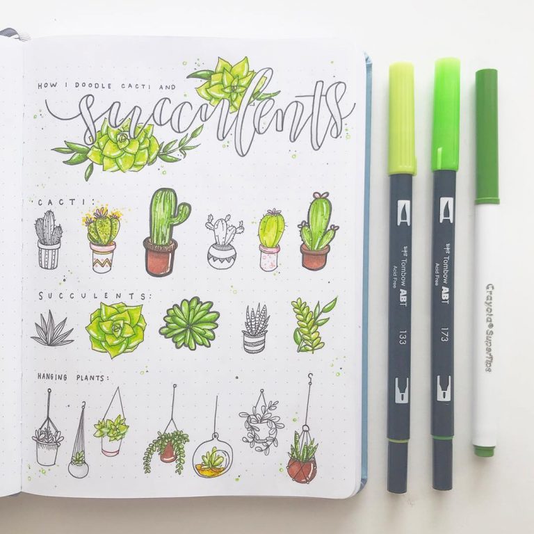 20+ Easy Succulent Drawings & Cactus Doodles To Draw