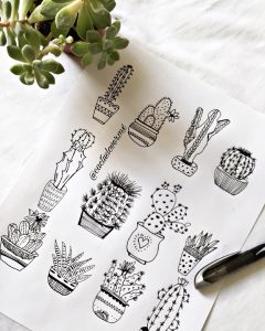 20+ Easy Succulent Drawings & Cactus Doodles To Draw