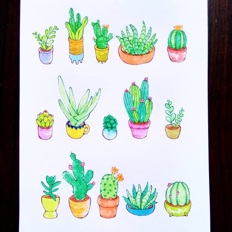 20+ Easy Succulent Drawings & Cactus Doodles To Draw