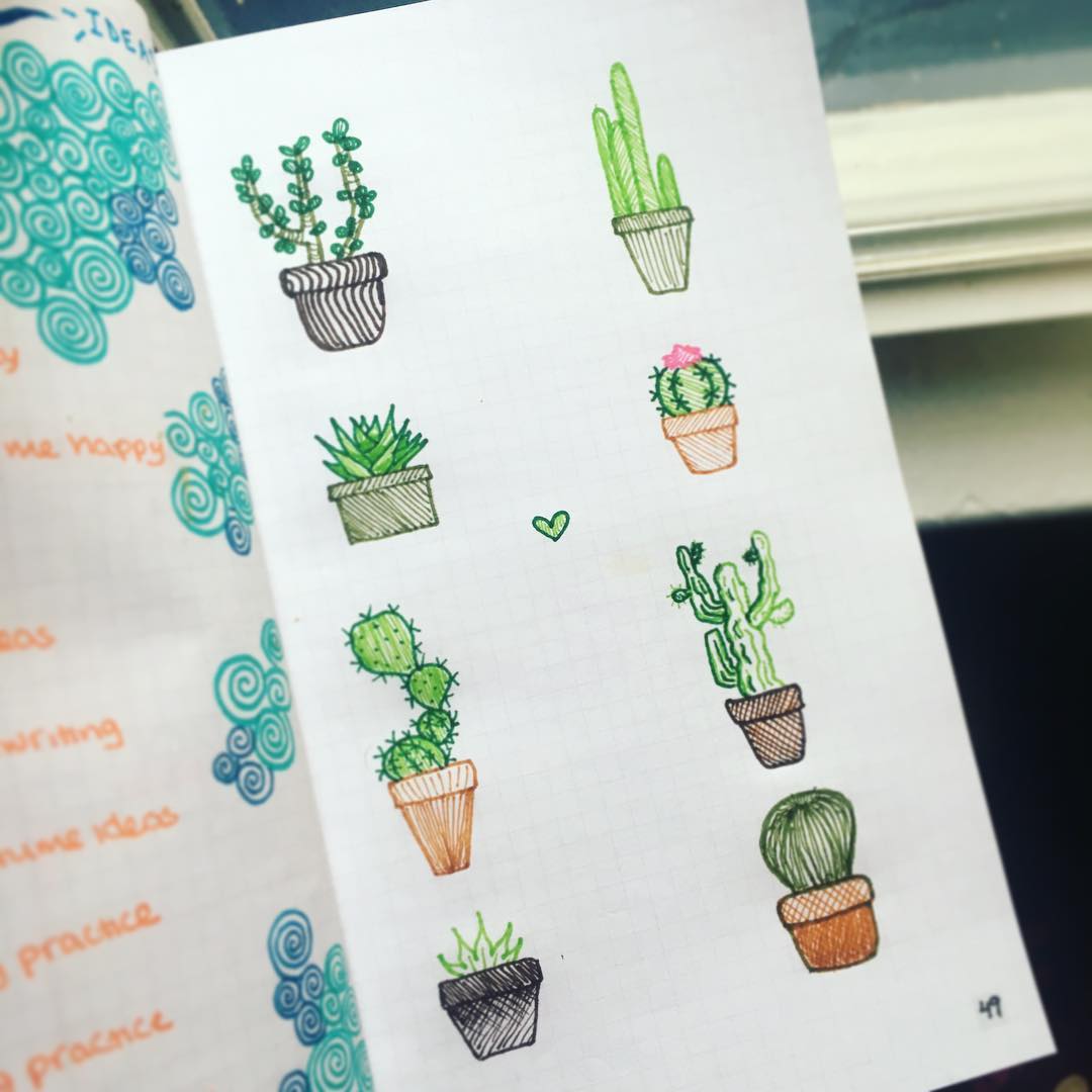 20+ Easy Succulent Drawings & Cactus Doodles To Draw