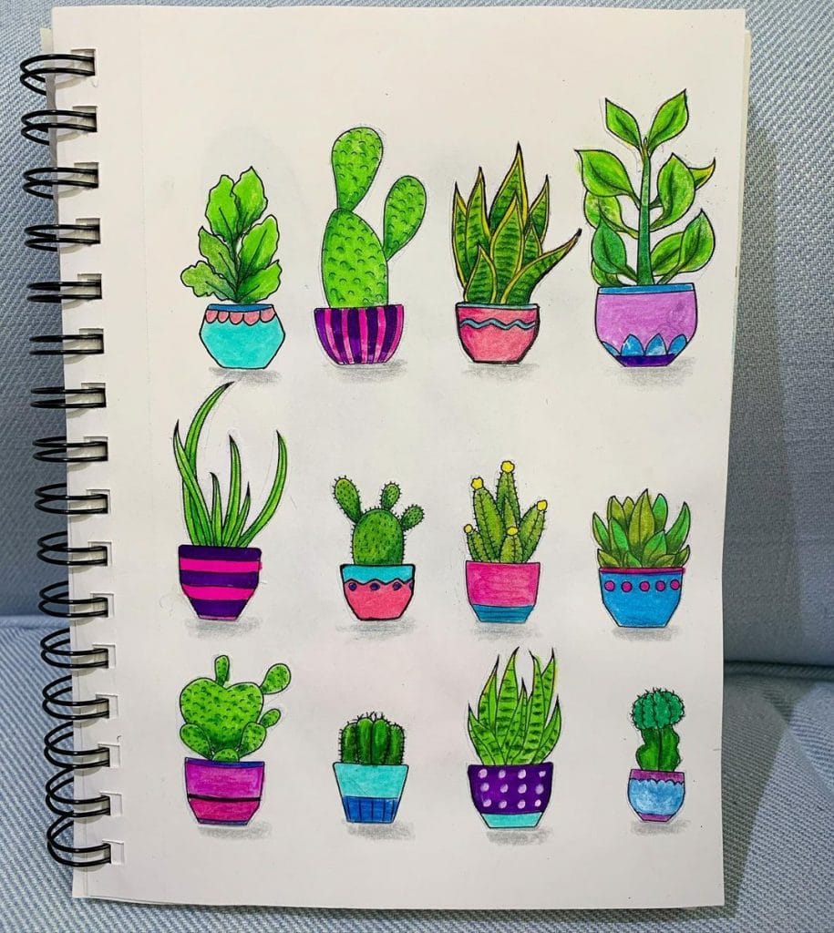 Colour Pencil Succulent Doodles