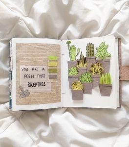 20  Easy Succulent Drawings Cactus Doodles To Draw