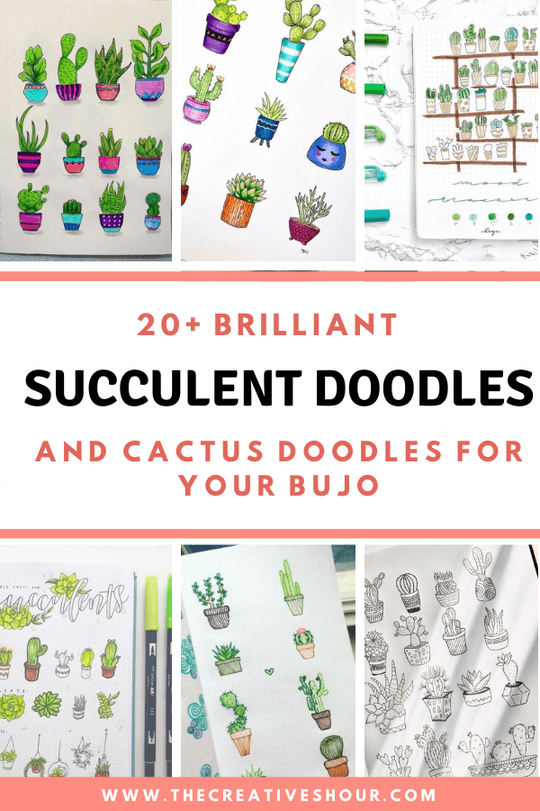 succulent doodles