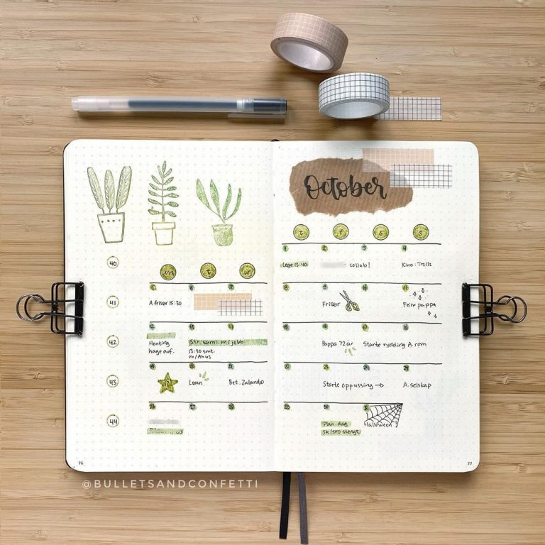 The Ultimate Bullet Journal Setup Guide For Beginners