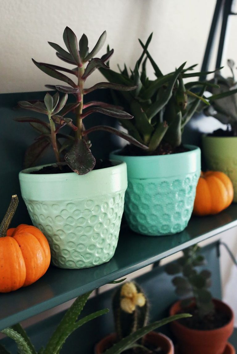 40 Fun & Easy DIY Clay Pot Crafts for Beginners