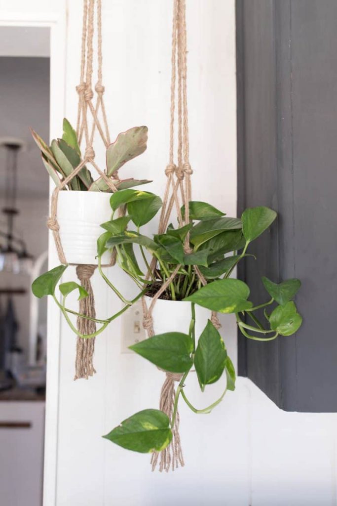 40 Easy DIY Macrame Plant Hangers Ideas & Tutorials