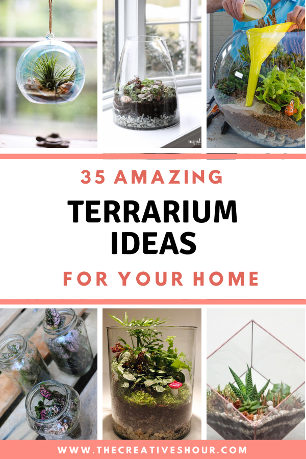 How to Choose the Right DIY Terrarium Containers - Terrarium Tribe