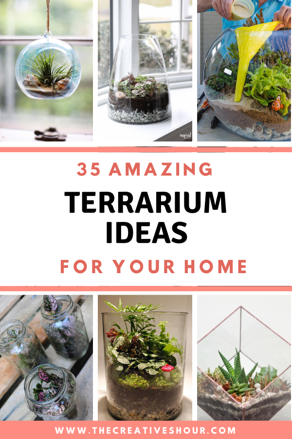 Large Terrarium Starter Kit – Cute Farms