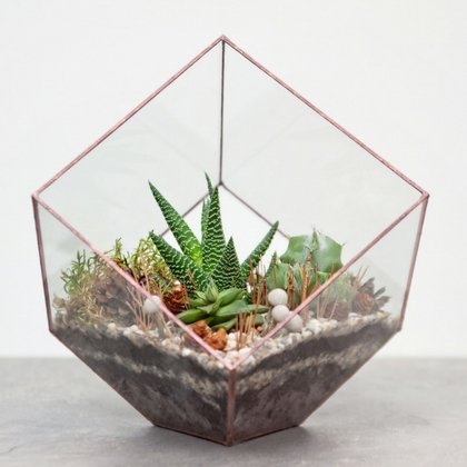 How to Make a Desert Terrarium (Step-by-Step) + Ideas - Terrarium Tribe