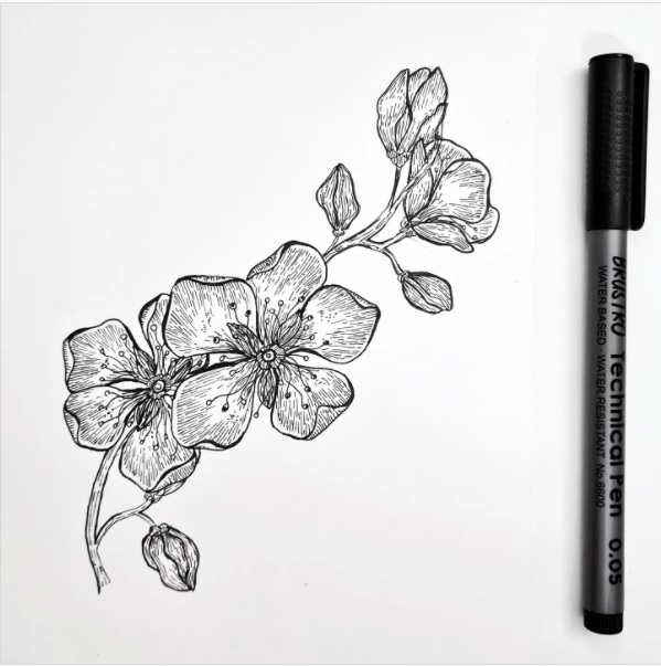 Free Cherry Blossom Patterns Great for painting crafting embroidery  quilting and more  Flower drawing tutorials Cherry blossom drawing Flower  drawing