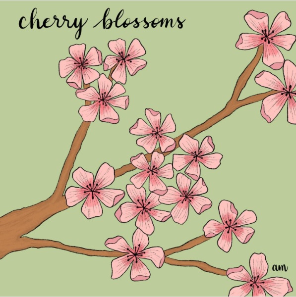 Cherry blossom Drawing, cherry blossom, pencil, leaf png | PNGEgg