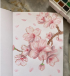 30 Splendid Cherry Blossom Drawings & Illustrations To Love