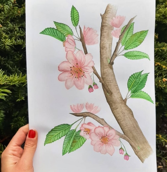 Cherry Blossom Tree Drawing Beautiful Art  Drawing Skill