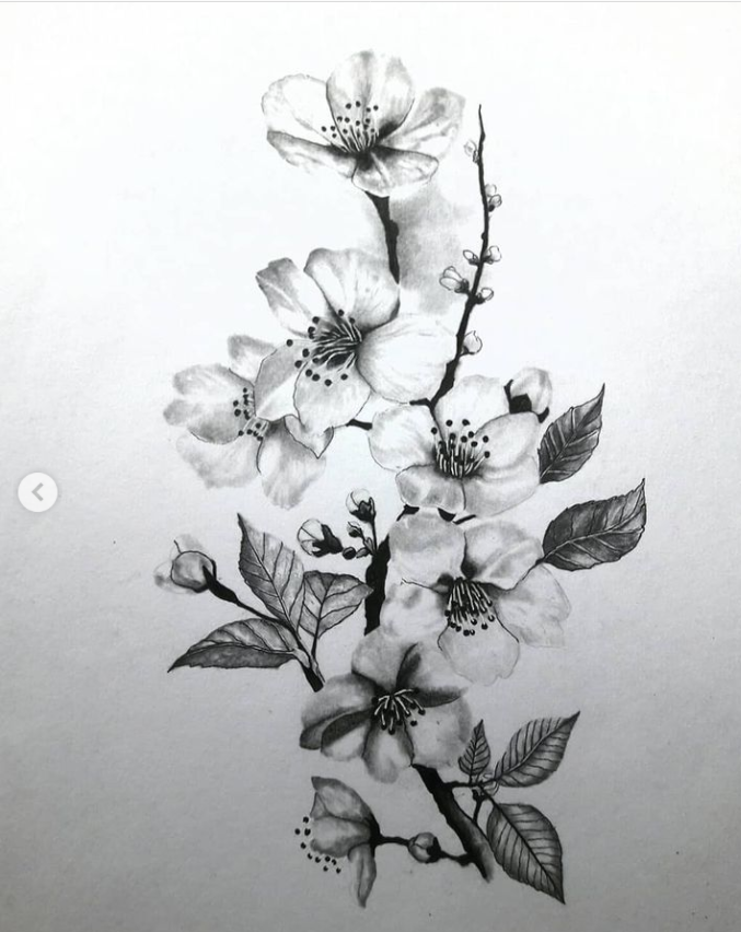 Premium Vector  Cherry blossom sketch hand drawn in doodle style  illustration