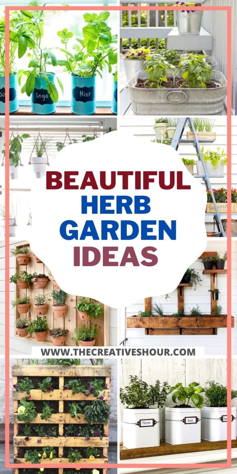 How To Create A DIY Herb Garden at Home - 3 Easy Steps