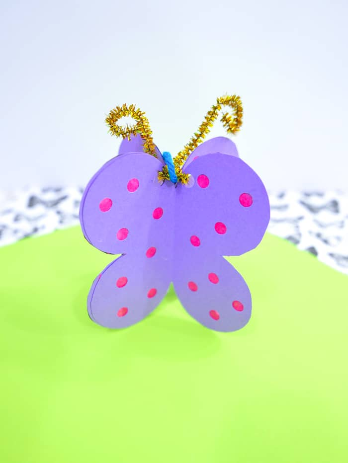 3 D Paper Butterfly Craft 